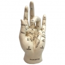 Palmistry 17.7cm Palmistry Chriomancy Fortune Telling Hand Figurine